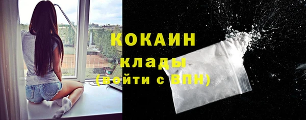сатива Баксан