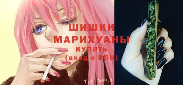 сатива Баксан