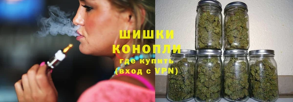 сатива Баксан