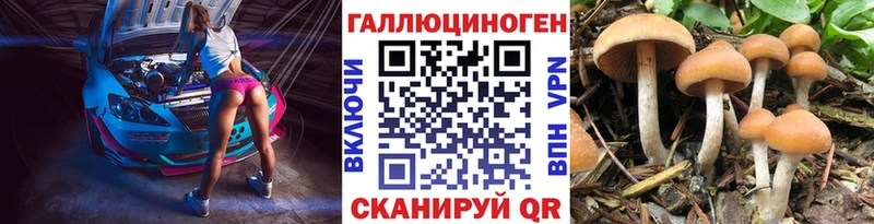 Псилоцибиновые грибы Psilocybe  Верхняя Салда 