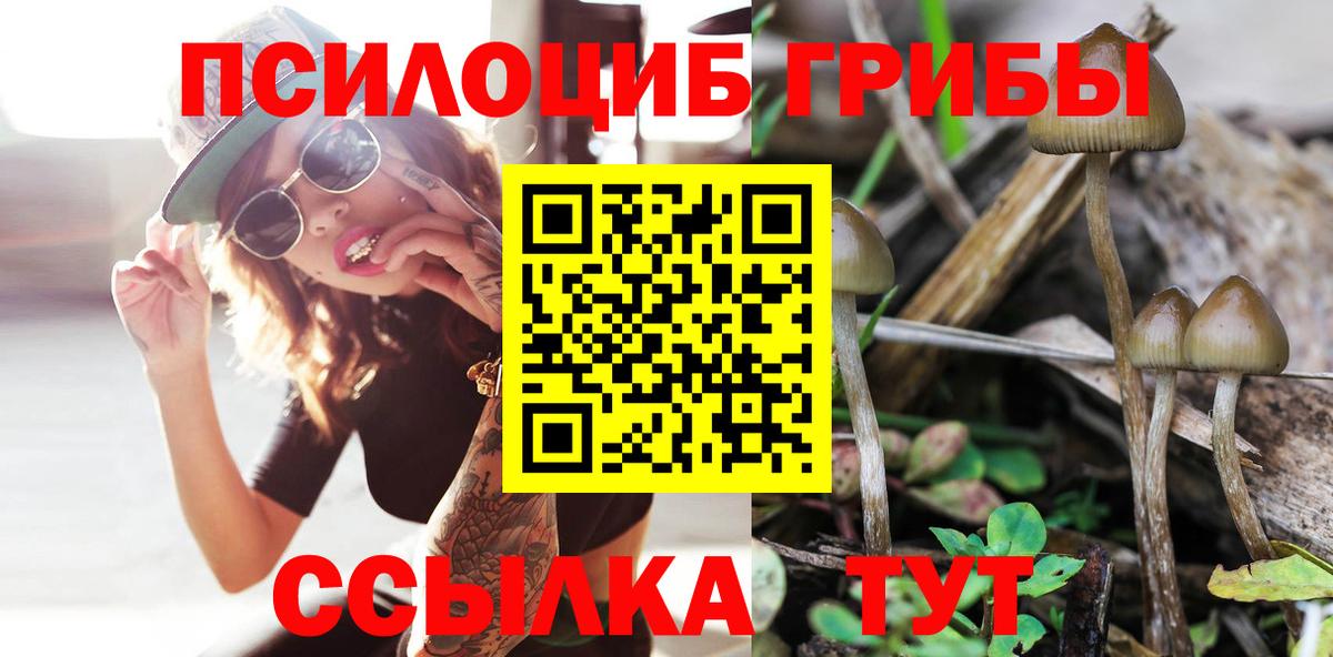 Галлюциногенные грибы прущие грибы Верхняя Салда