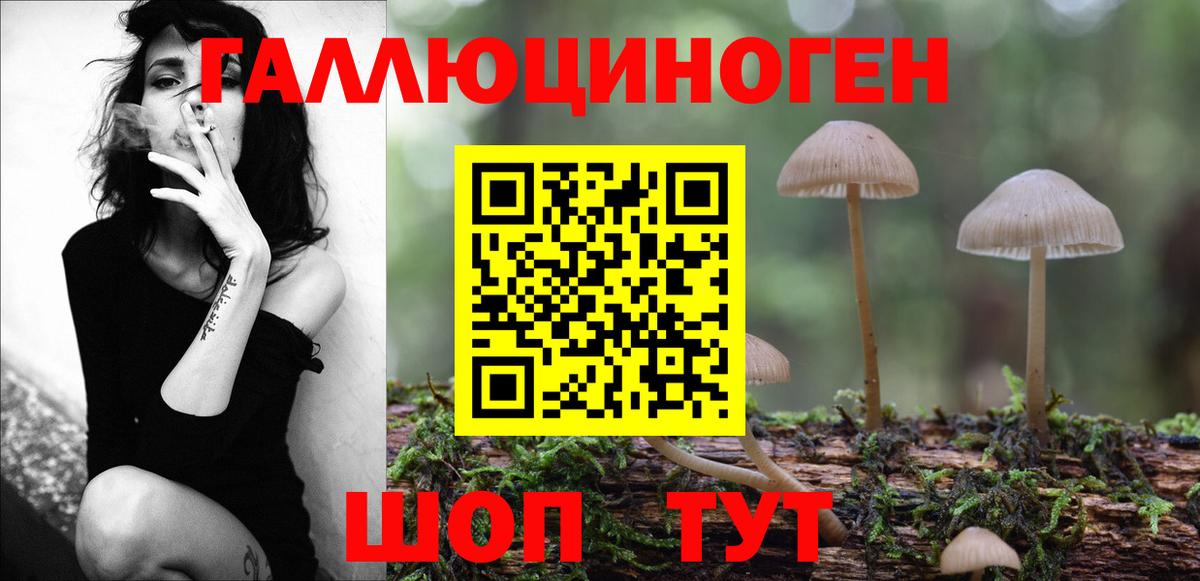 Псилоцибиновые грибы MAGIC MUSHROOMS  Псилоцибиновые грибы Cubensis  Верхняя Салда  Вход с VPN 