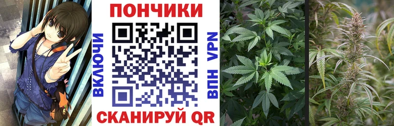 где купить наркоту  Верхняя Салда  Бошки марихуана MAZAR 